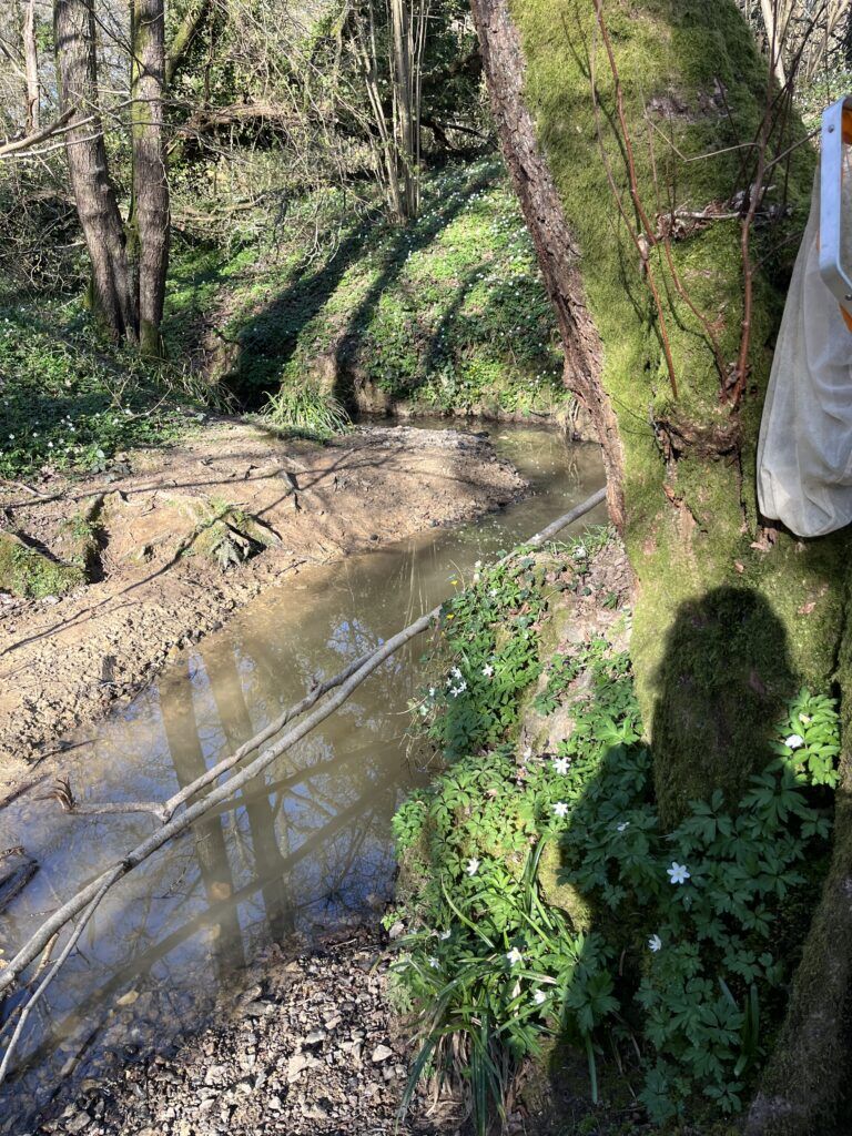 Cranleigh's Waterways